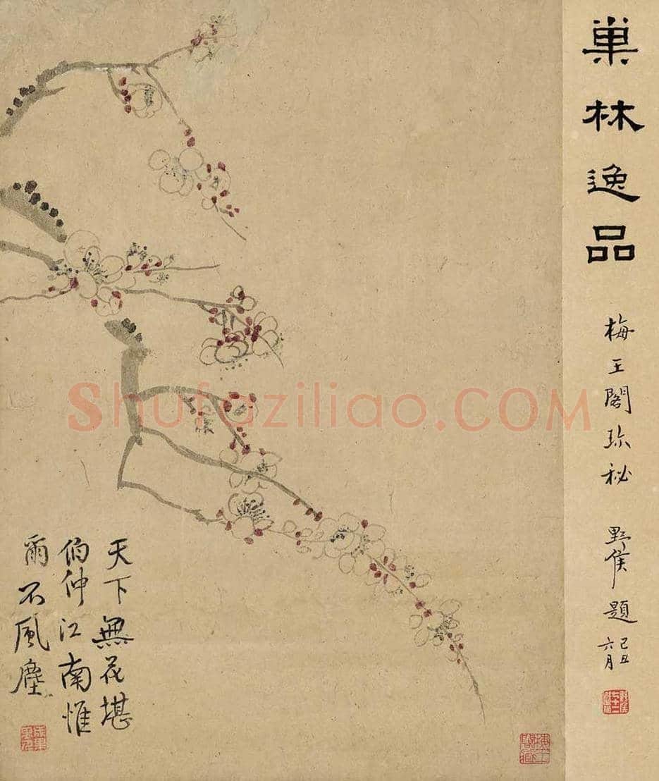 汪士慎:老觉梅花是故人 | 书画学堂