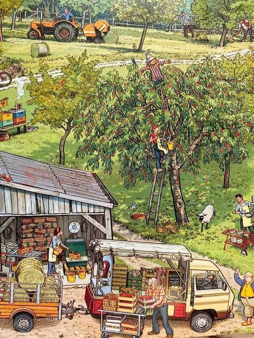 德国绘本插画师 Doro Göbel and Peter Knorr 作品欣赏 | 书画知识