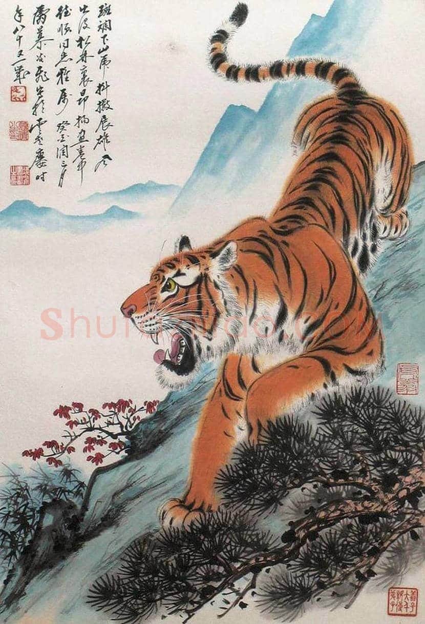 慕凌飞画虎作品欣赏 | 书画科普