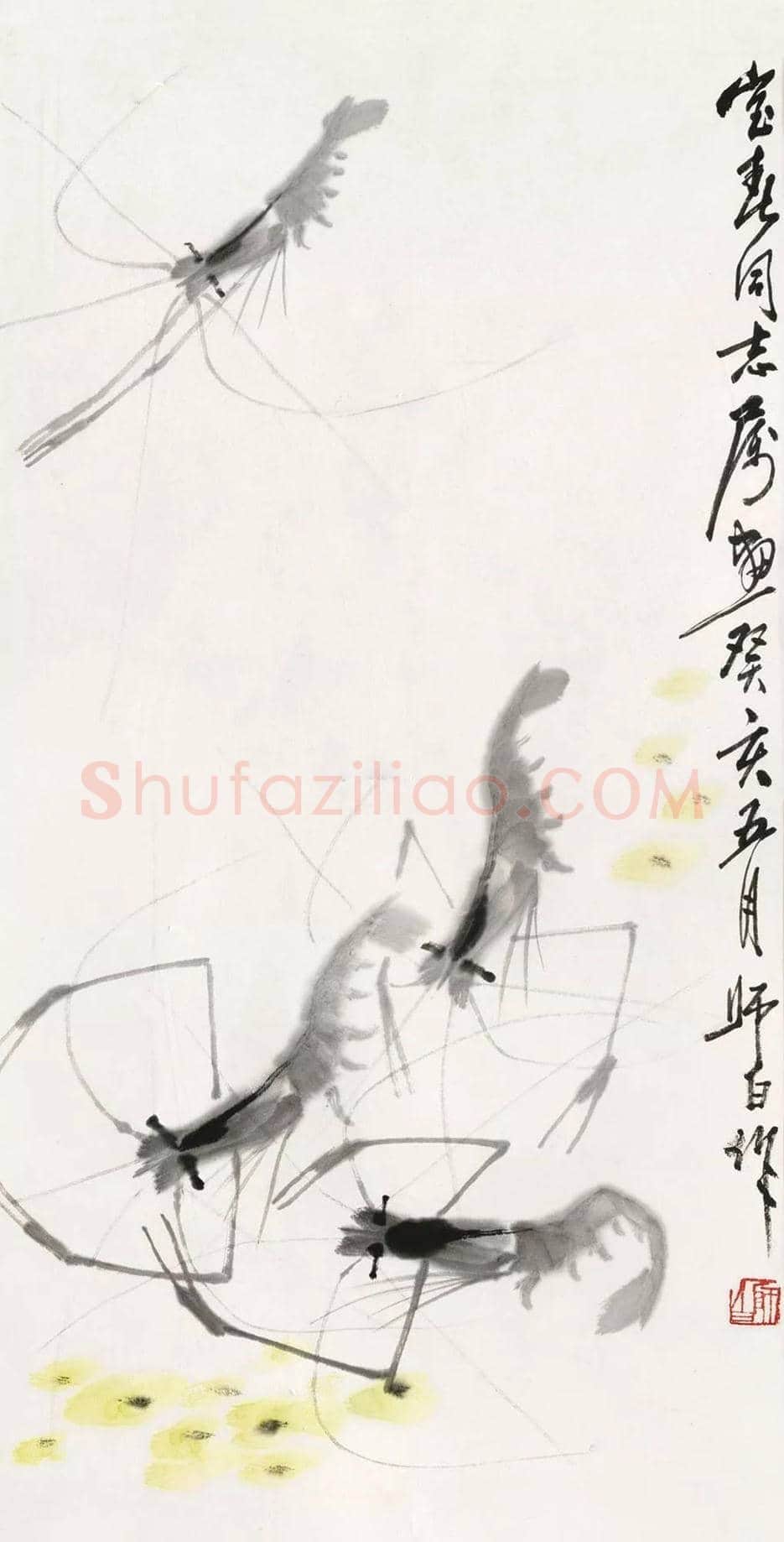 娄师白画虾作品欣赏 | 书画知识