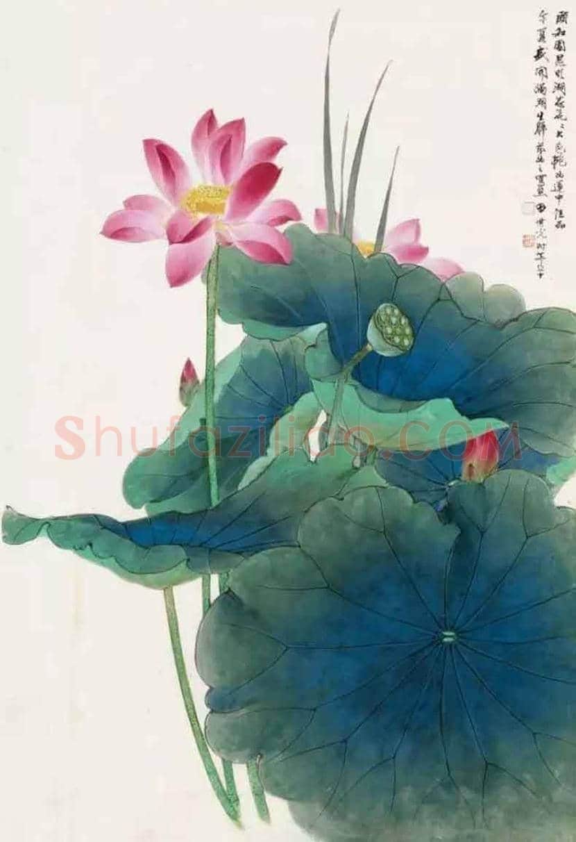 田世光花鸟画作品欣赏 | 书画科普