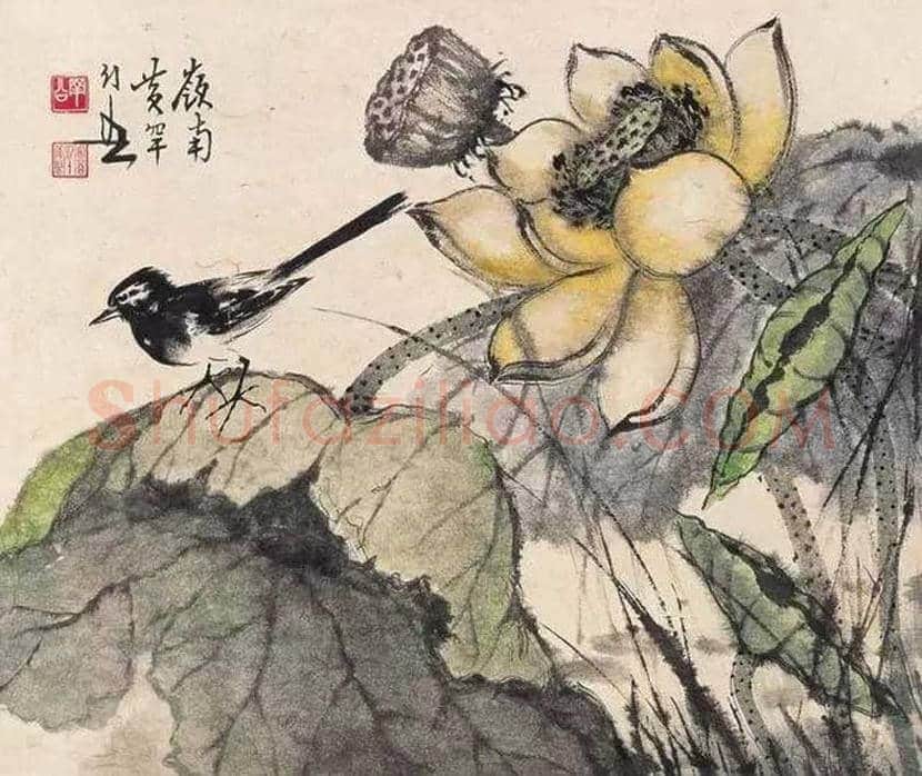 黄幻吾花鸟画作品欣赏 | 书画科普