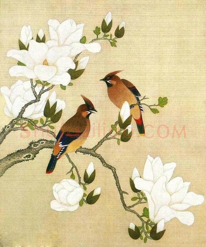 古代经典花鸟名画欣赏 | 书画常识
