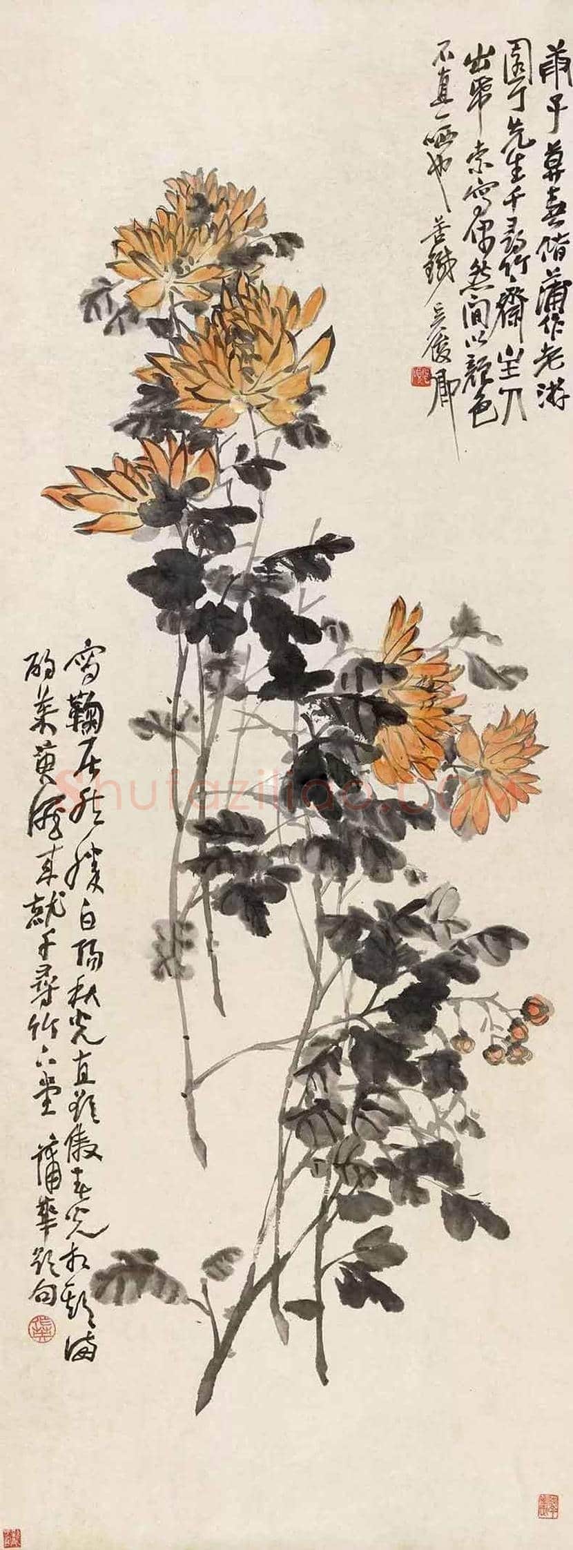 吴昌硕笔下的菊花 | 书画讲解
