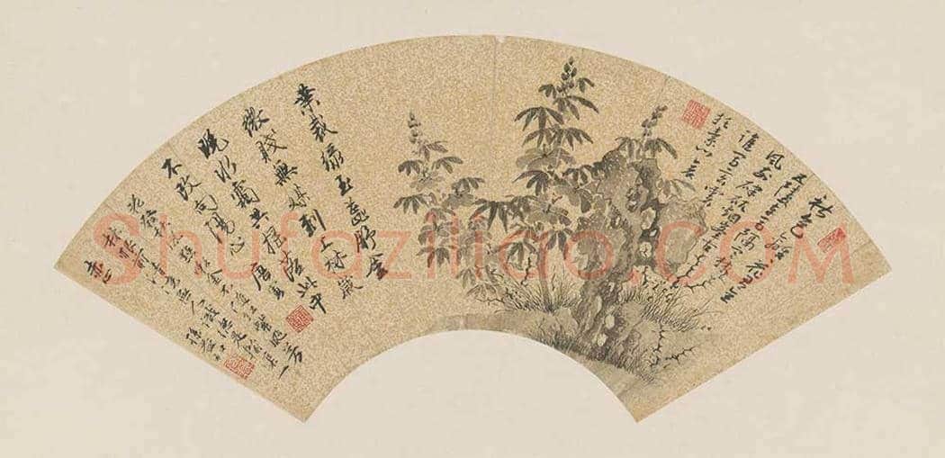 唐寅秋葵图扇页欣赏 | 传世国画赏析