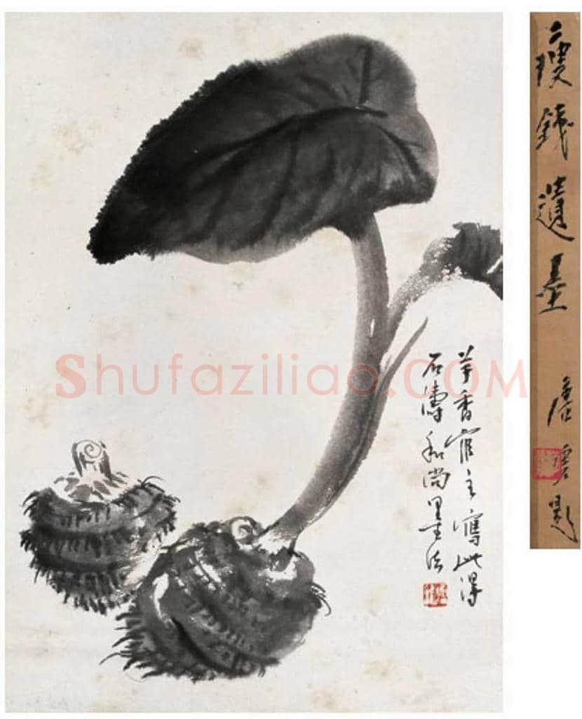 钱瘦铁花鸟画作品欣赏 | 书画讲解