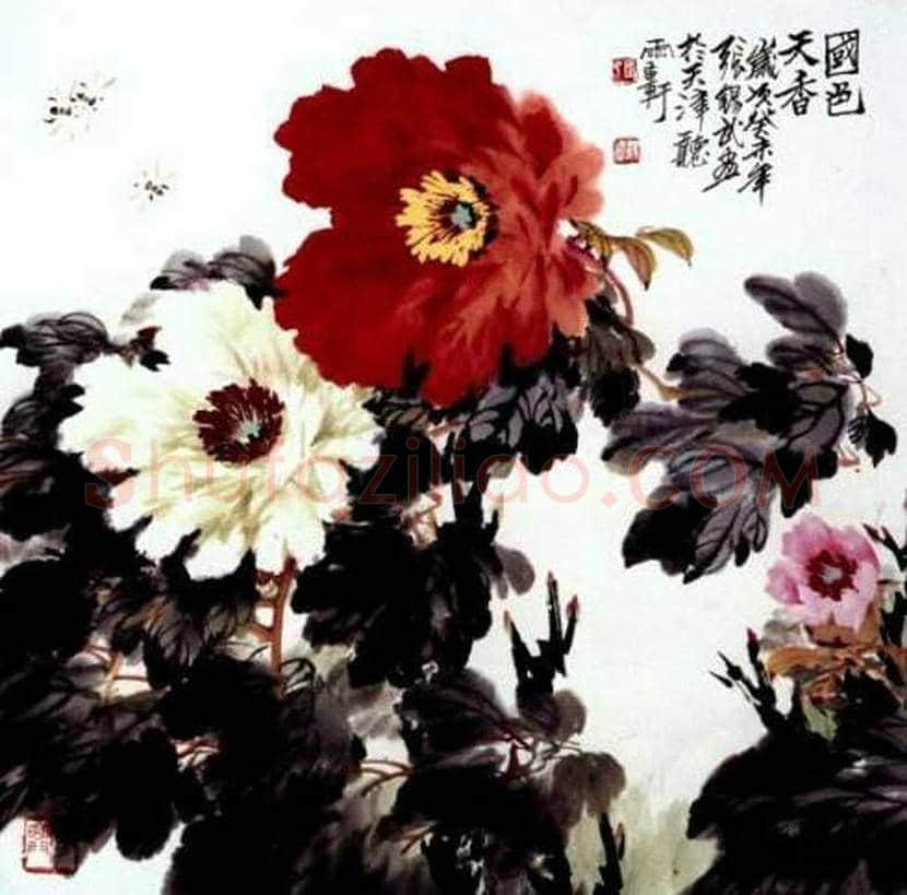 张锡武牡丹作品欣赏 | 书画资料