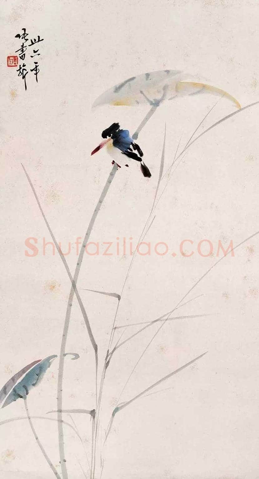 张书旂花鸟画作品欣赏 | 书画讲解