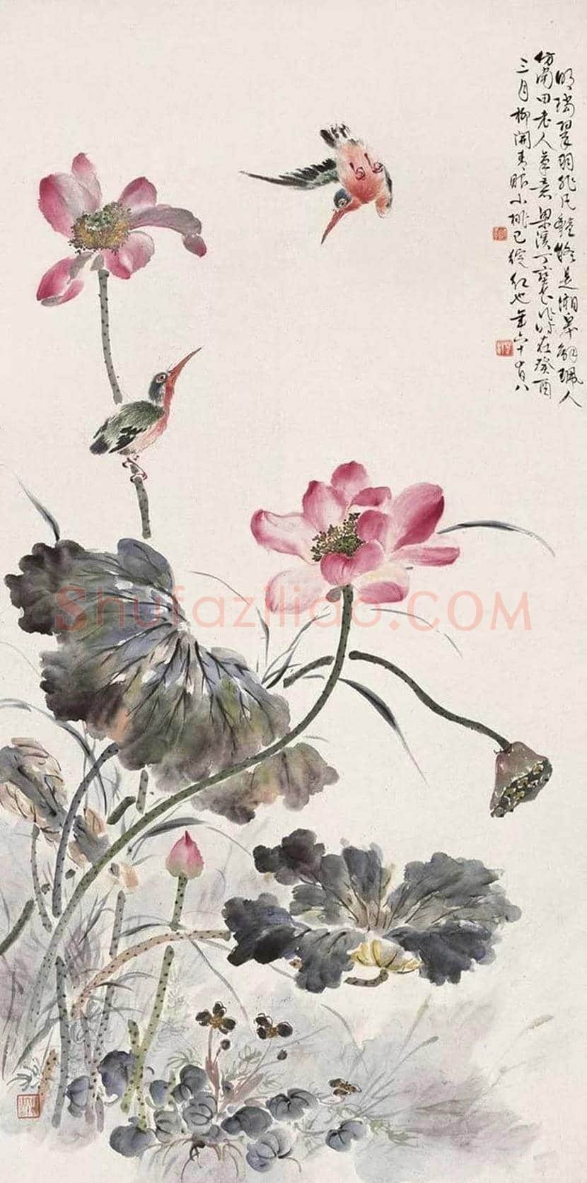 丁宝书花鸟画作品欣赏 | 书画科普