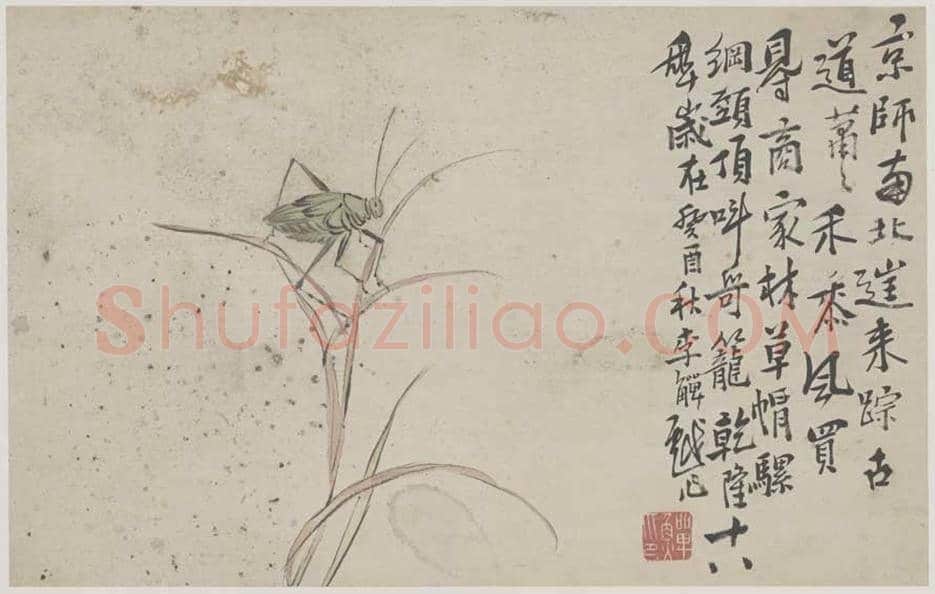 李鱓花鸟册页欣赏 | 书画讲解