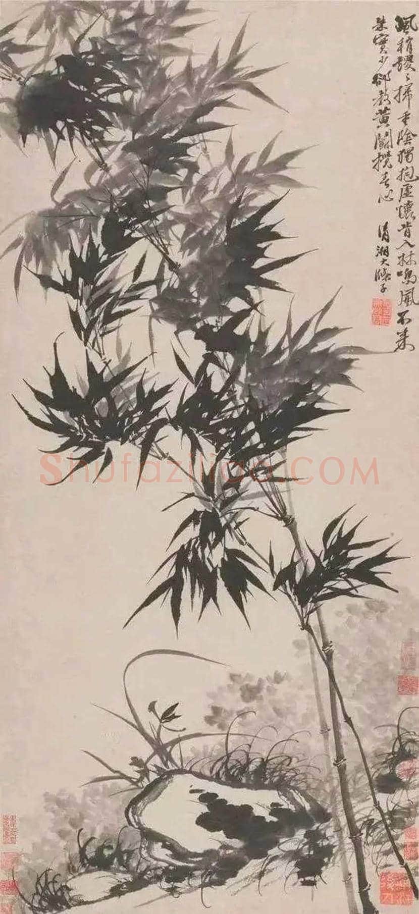 石涛《竹石图》欣赏 | 书画文摘