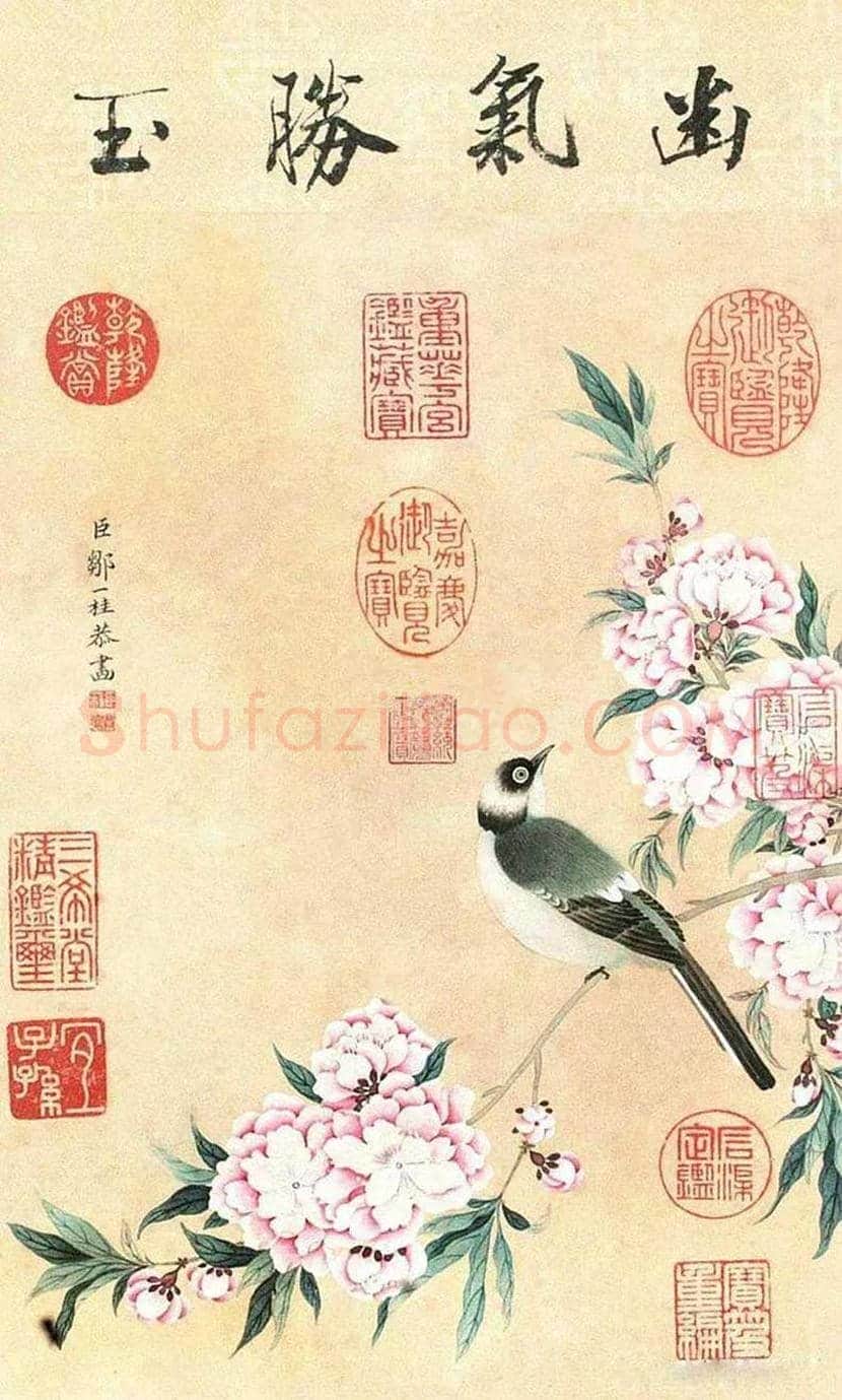邹一桂工笔花鸟画作品欣赏 | 书画学堂