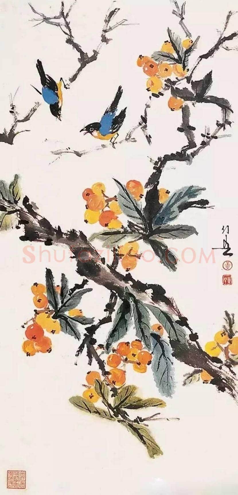 黄幻吾花鸟画作品欣赏 | 书画科普