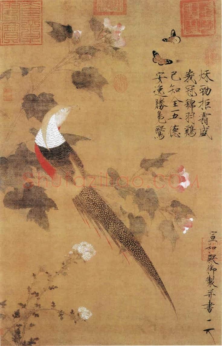 谢稚柳等名家笔下芙蓉花开 | 书画百科