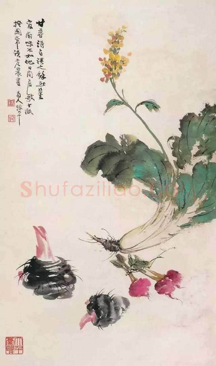 名家笔下的白菜画,百看不厌! | 书画讲解
