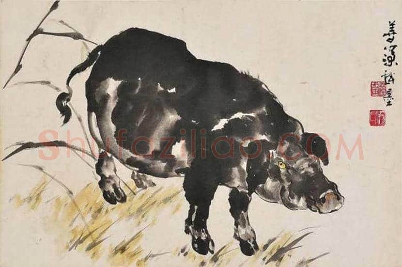 杨善深花鸟画作品欣赏 | 书画讲解