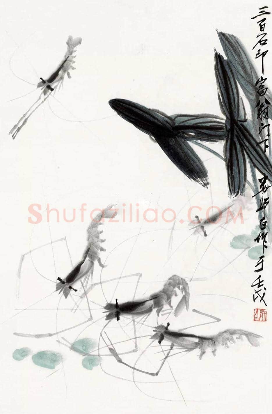 娄师白画虾作品欣赏 | 书画知识