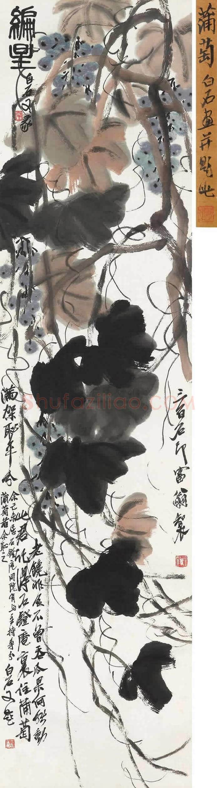 齐白石画葡萄,多子多福 | 书画科普