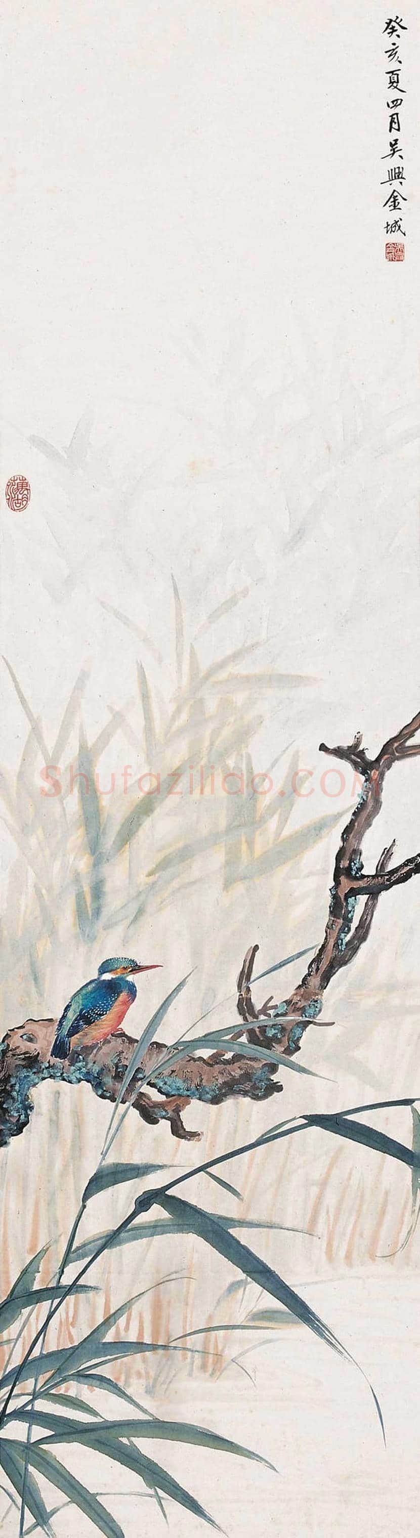 金城花鸟画作品欣赏 | 书画学堂