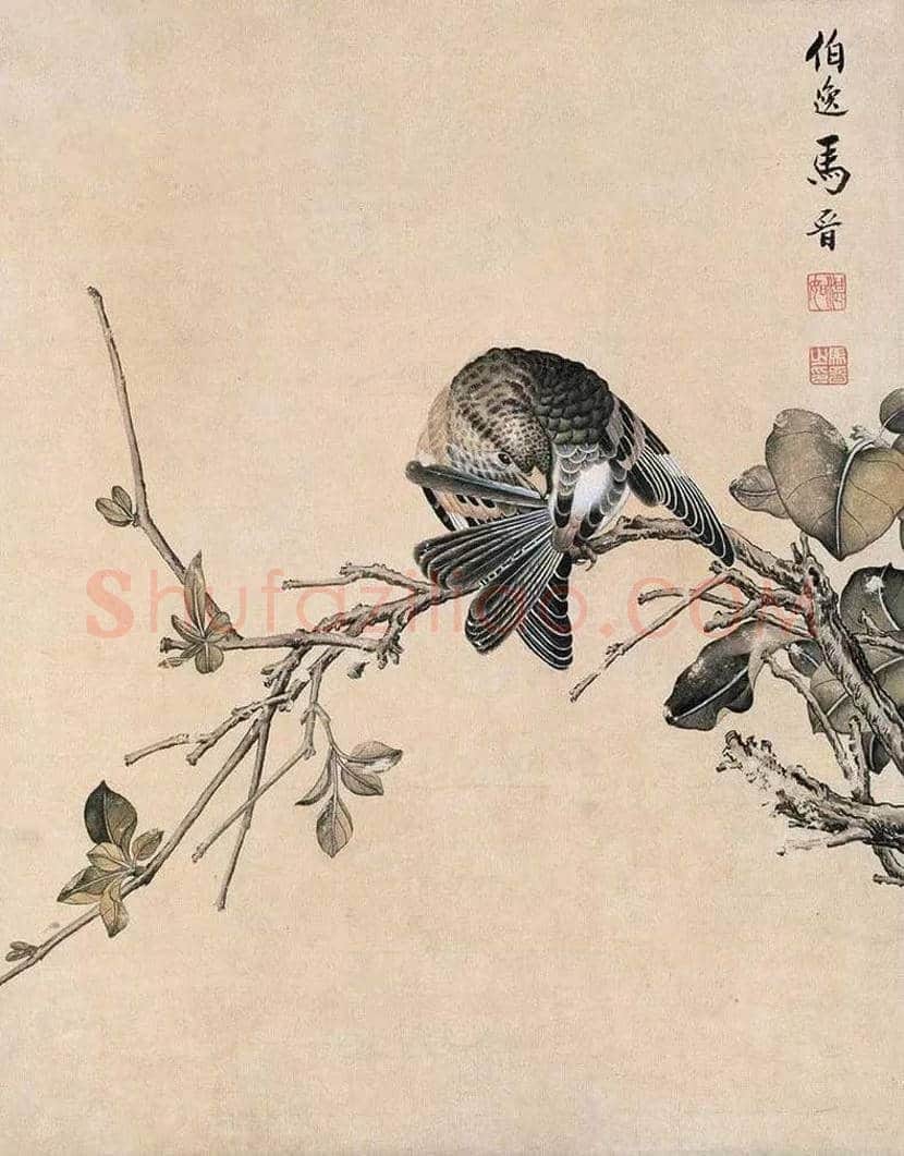 马晋作品欣赏 | 书画常识
