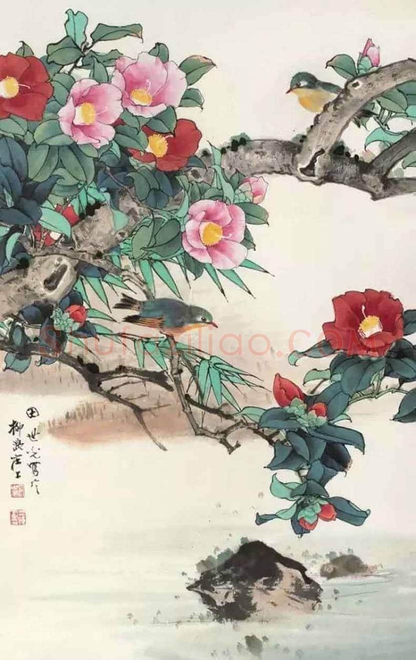 田世光花鸟画作品欣赏 | 书画科普