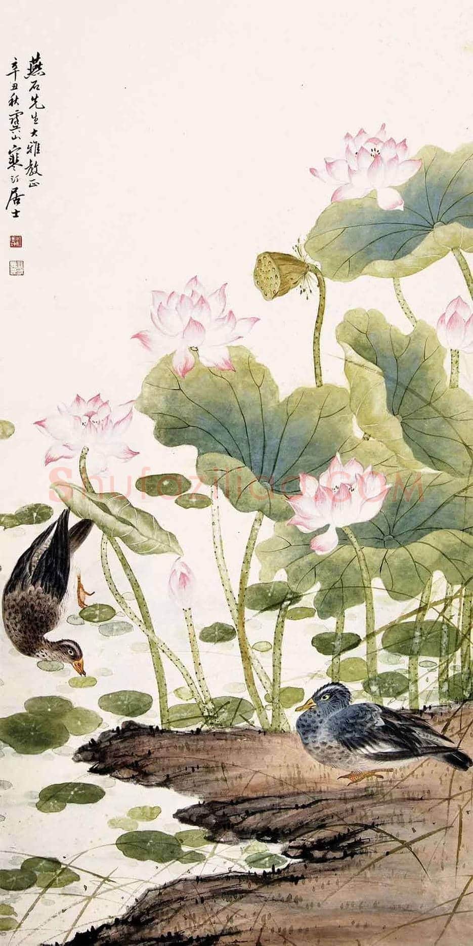 江寒汀荷花作品欣赏 | 书画讲解