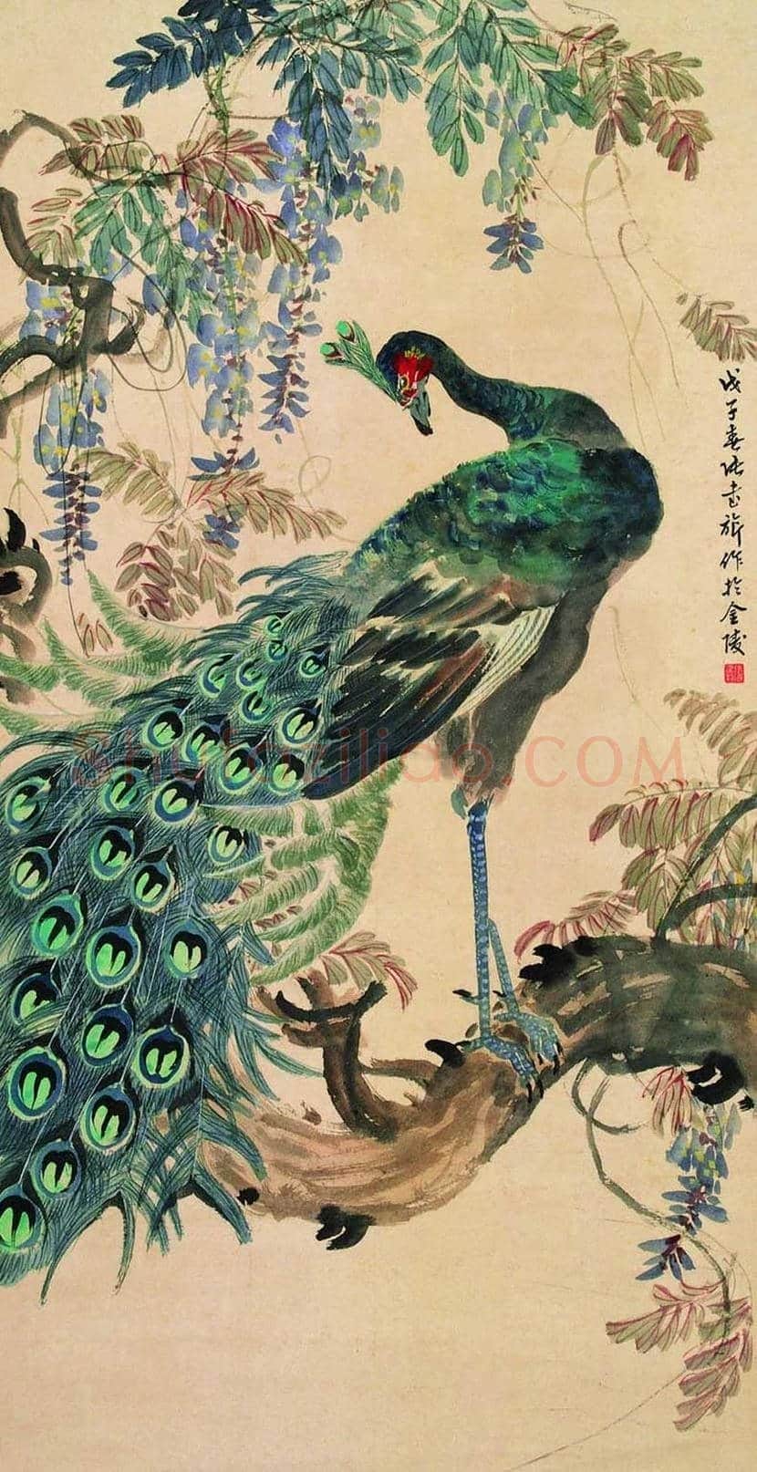 张书旂花鸟画作品欣赏 | 书画讲解