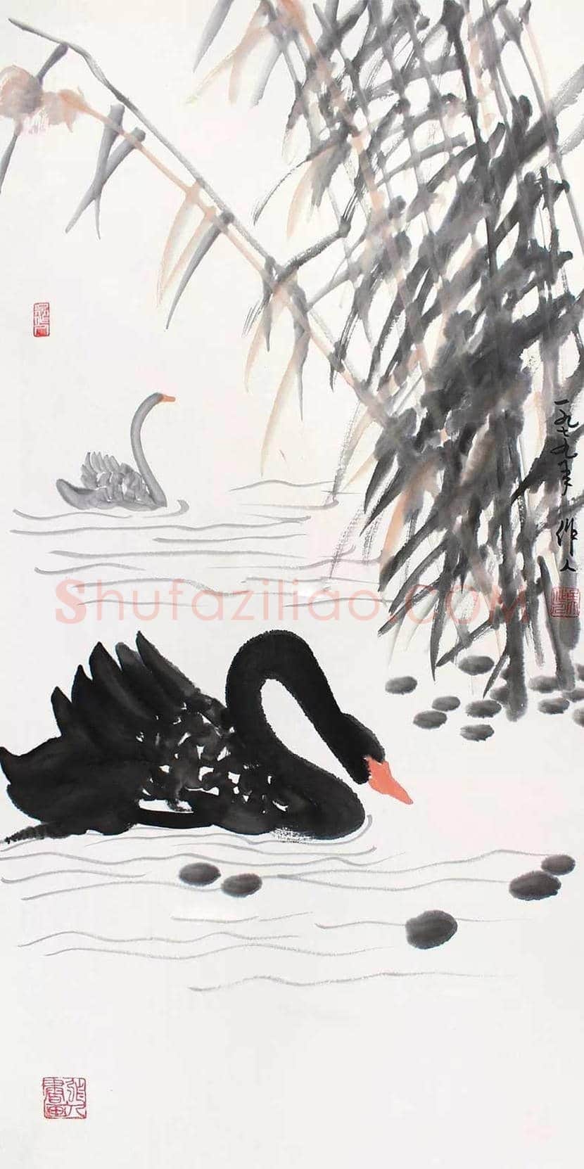 吴作人国画《黑天鹅》，别有一番情趣 | 国画作品