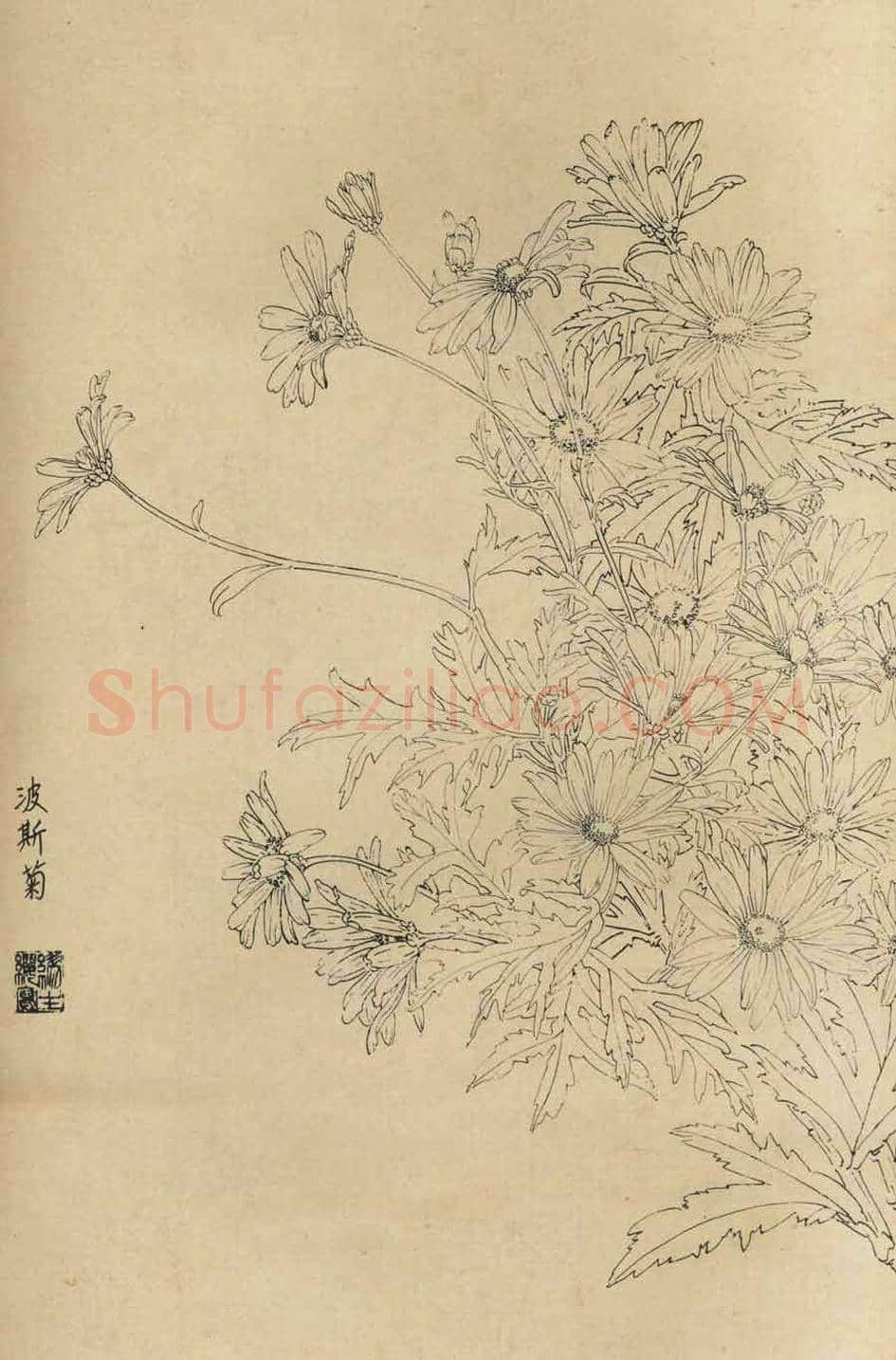 百花图谱大全【白描画】 | 书画资料