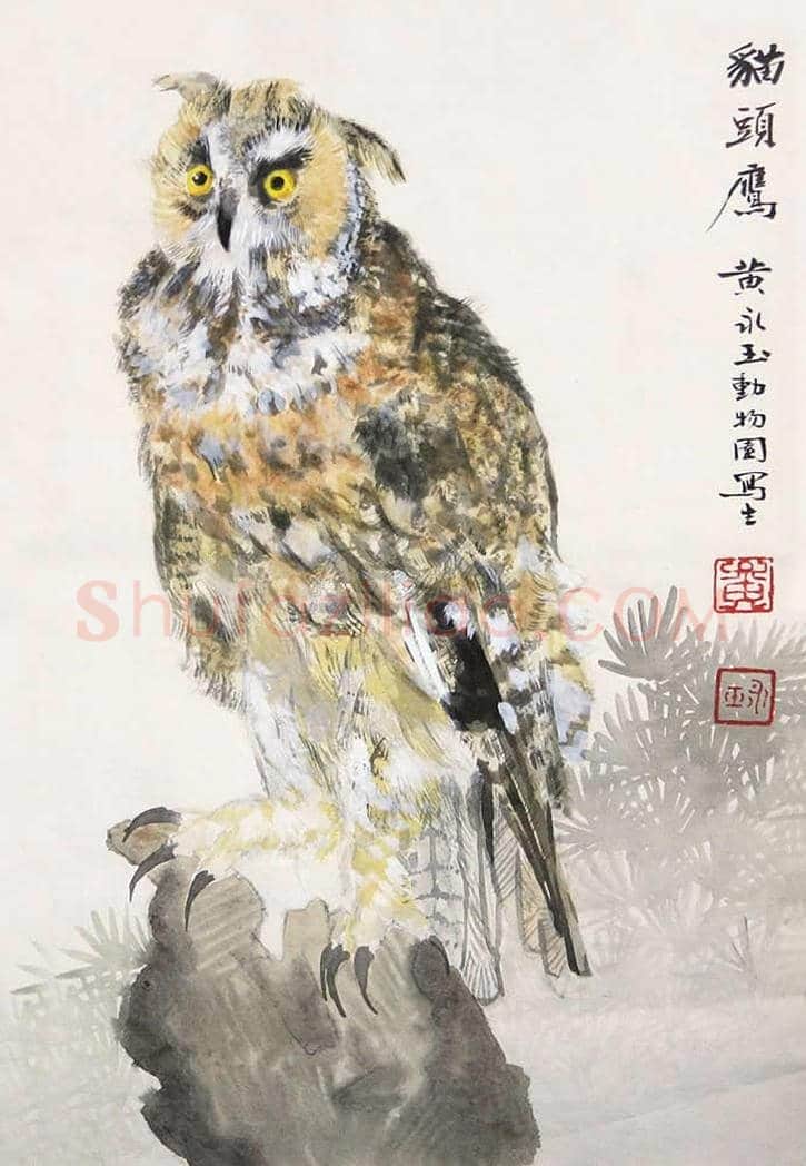 黄永玉画笔下的猫头鹰 | 书画文摘