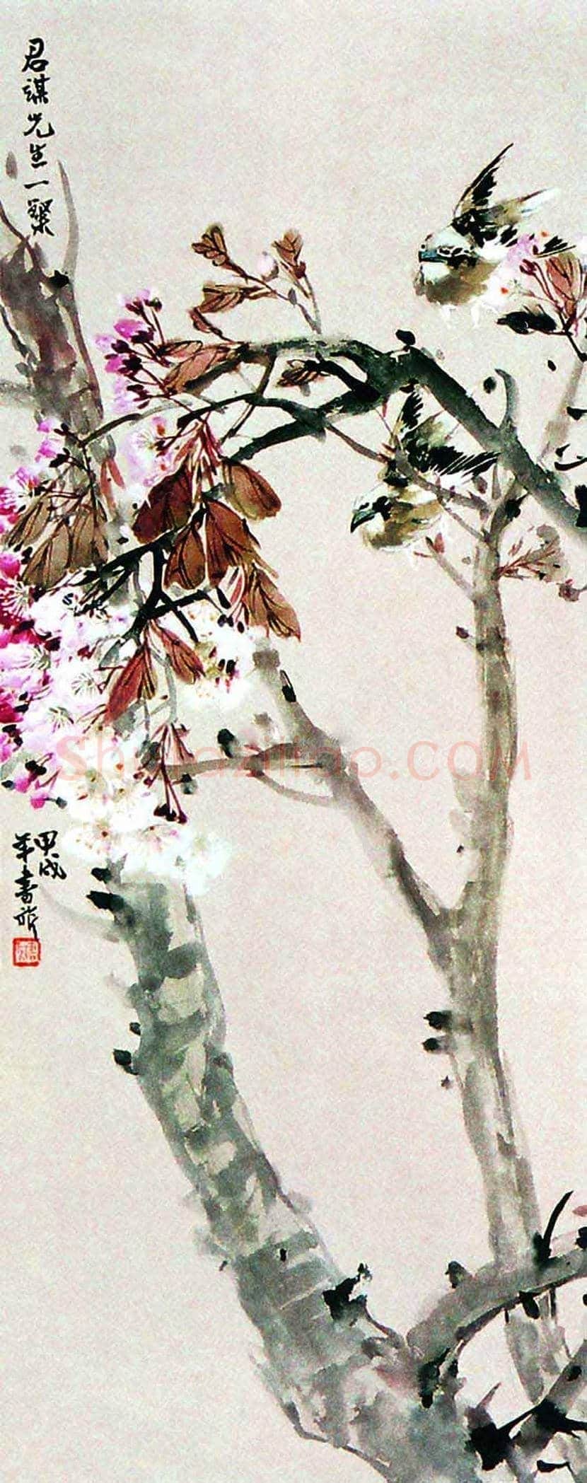 张书旂花鸟画作品欣赏 | 书画讲解