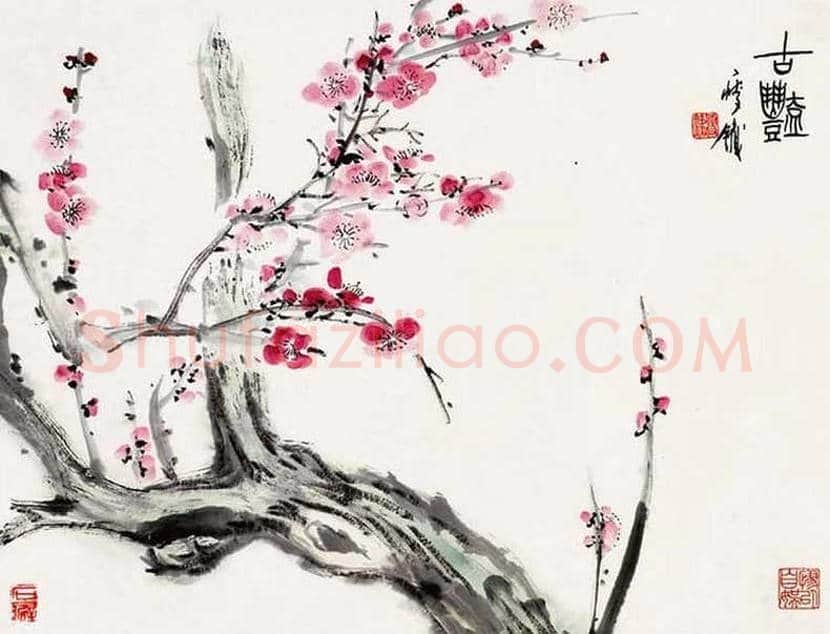 钱瘦铁花鸟画作品欣赏 | 书画讲解