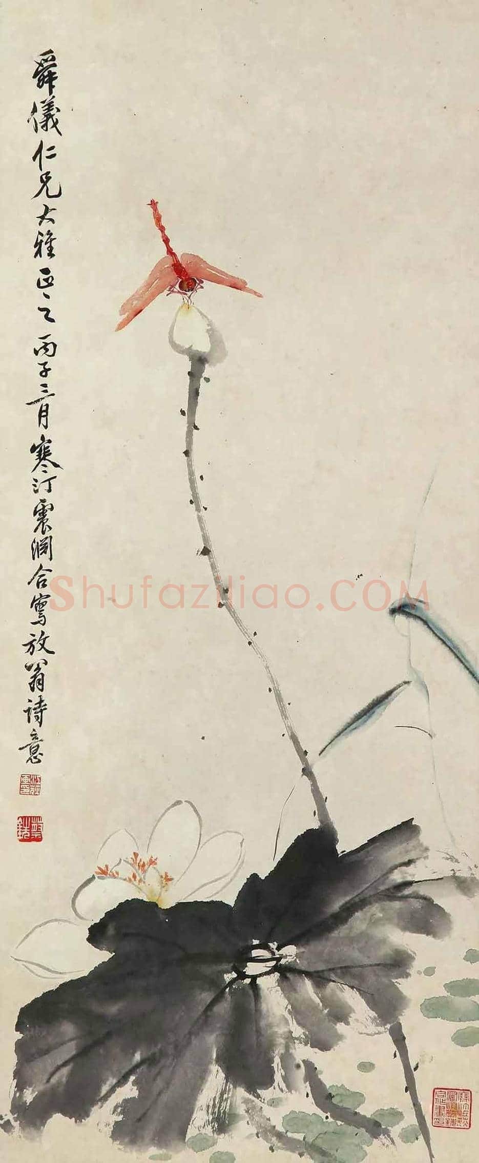 江寒汀荷花作品欣赏 | 书画讲解