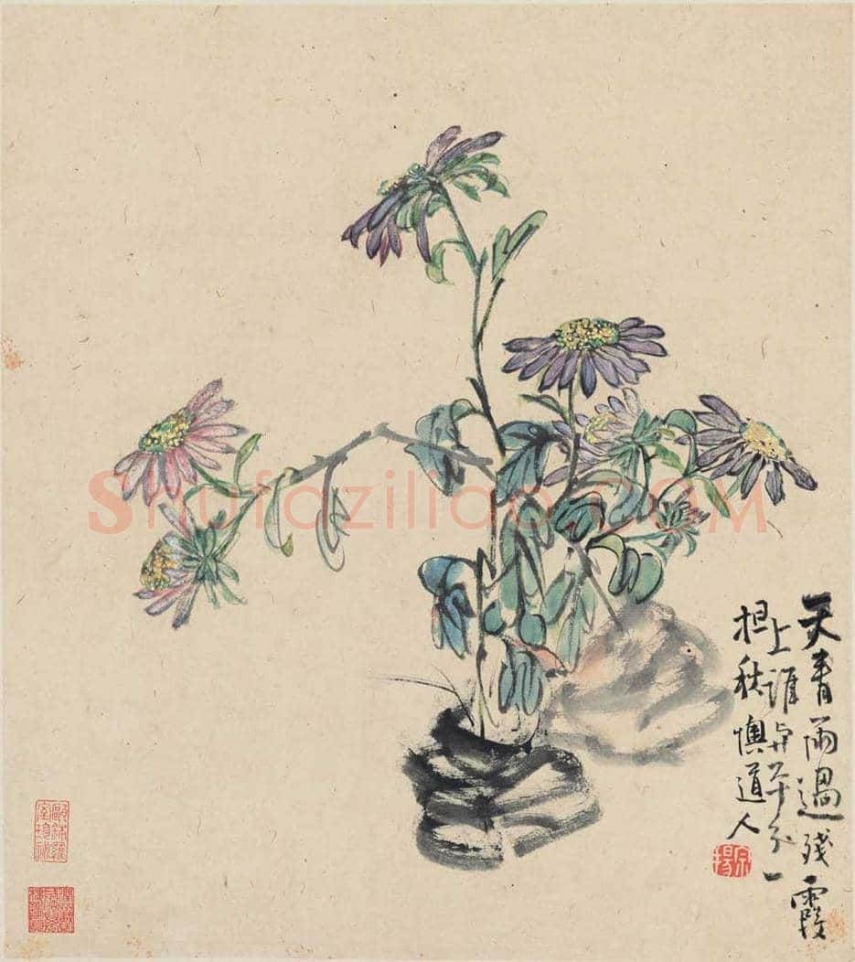 李鱓花鸟册页欣赏 | 书画讲解