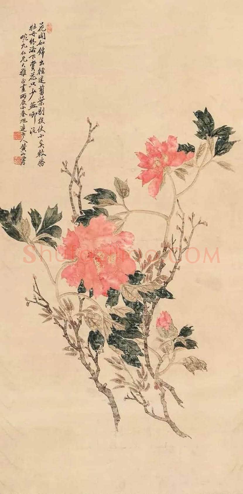 黄山寿花鸟画作欣赏 | 书画百科