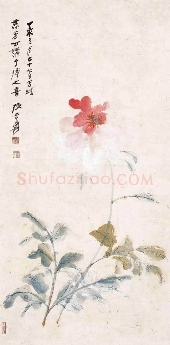 张大千画芍药收藏欣赏 | 书画百科