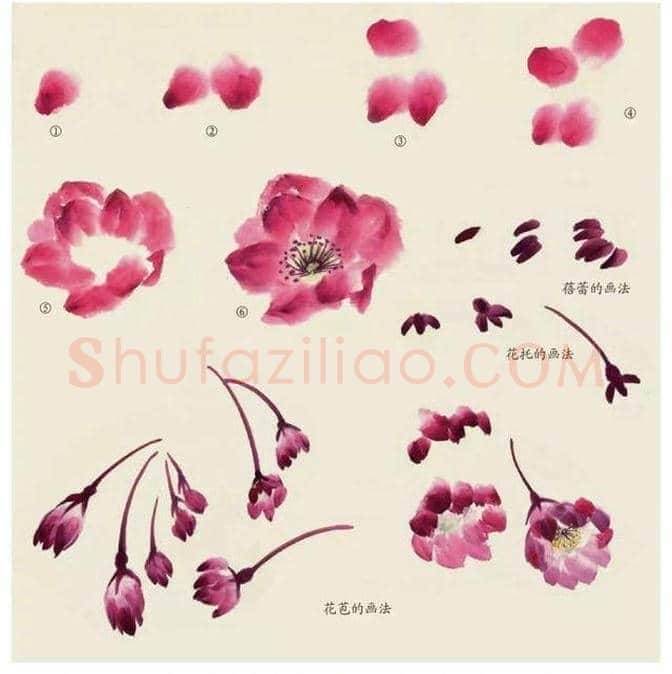 水墨花卉绘画的步骤教程！ | 书画科普
