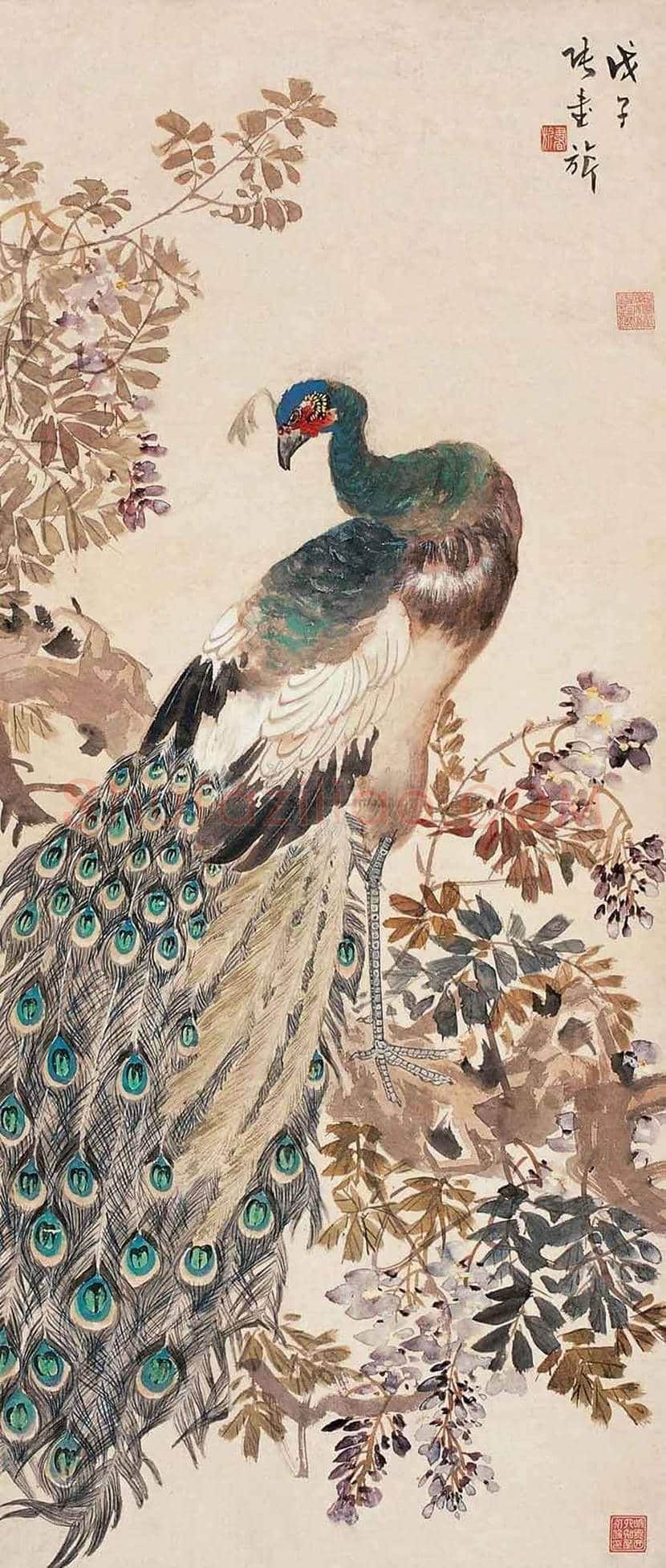 张书旂花鸟画作品欣赏 | 书画讲解