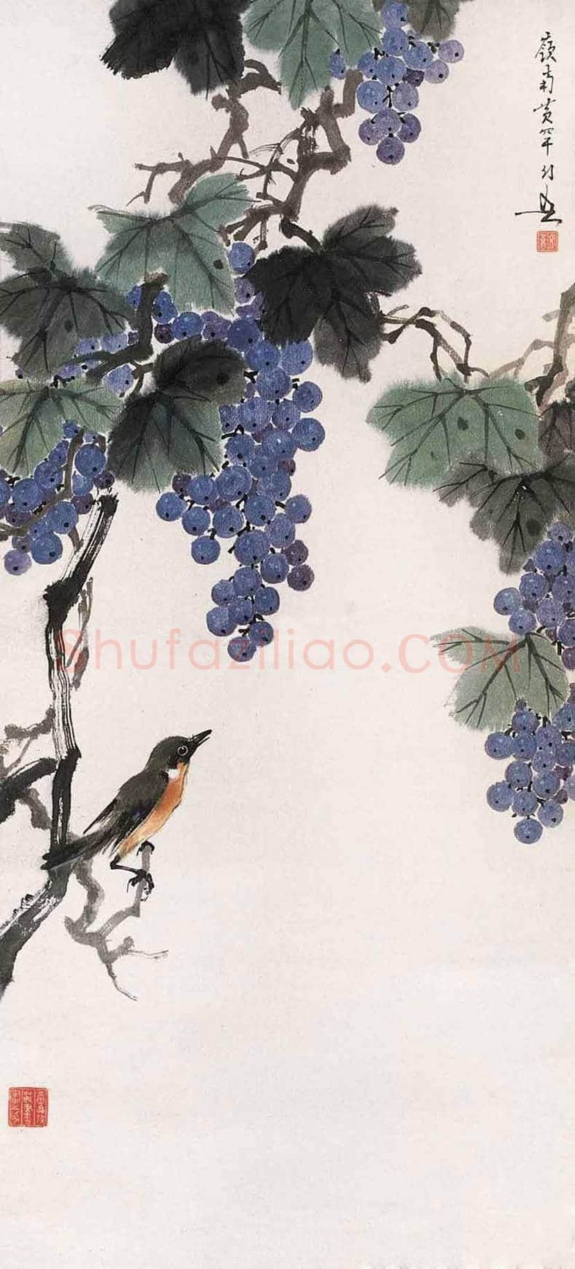 黄幻吾笔下的葡萄小鸟 | 书画常识
