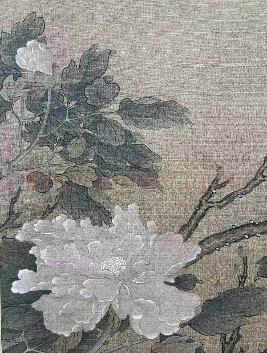 康熙御题 诗画合璧——蒋廷锡绘《富贵牡丹》 | 国画作品
