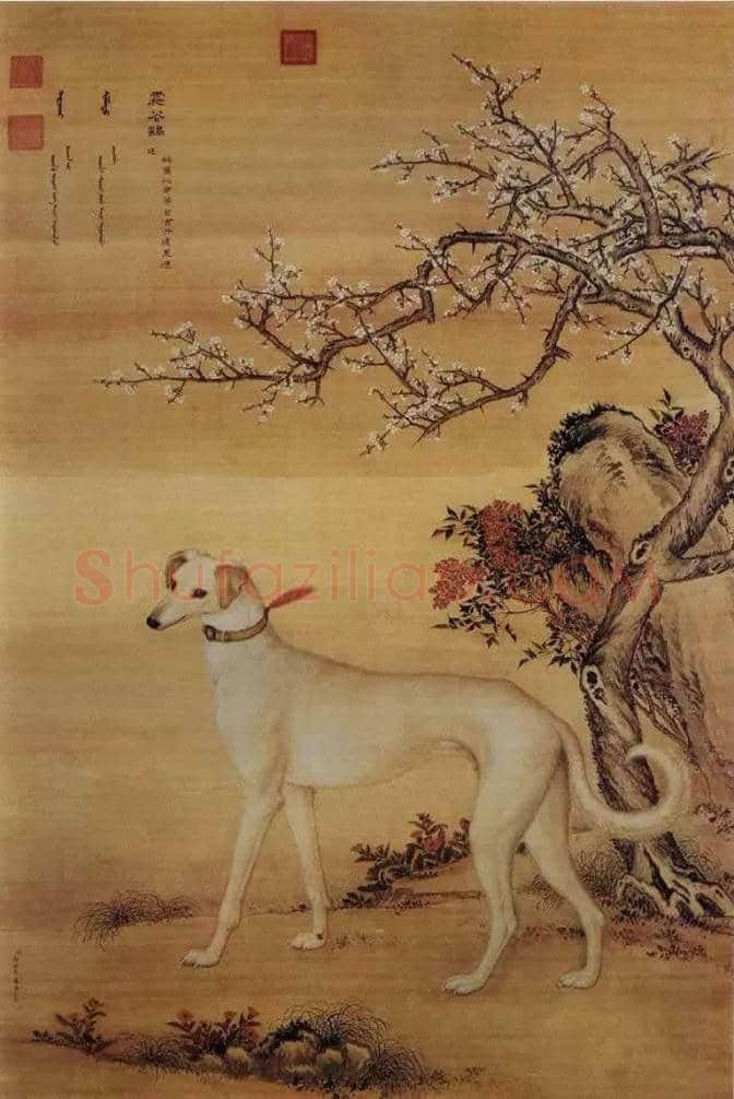 狗年看历代名家画狗，一起迎接2018春节 | 书画文摘