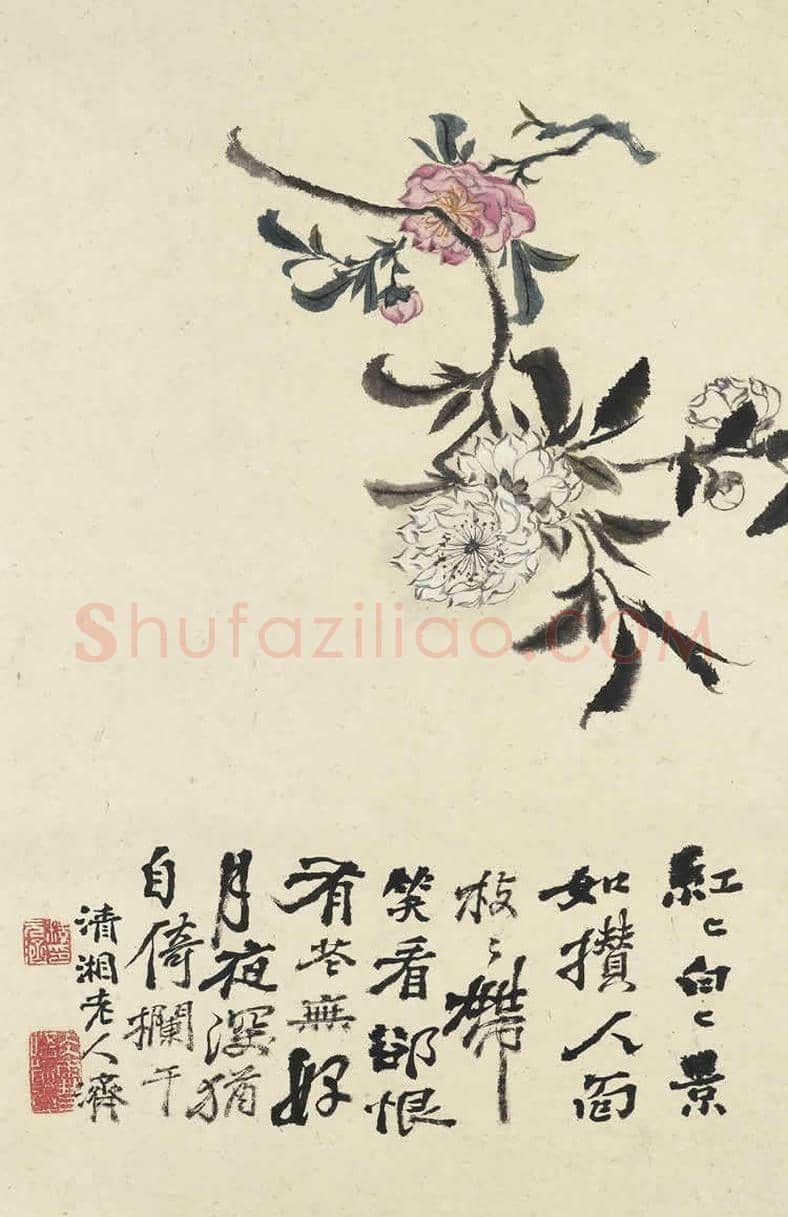 石涛《花卉册页》十帧 | 书画文摘