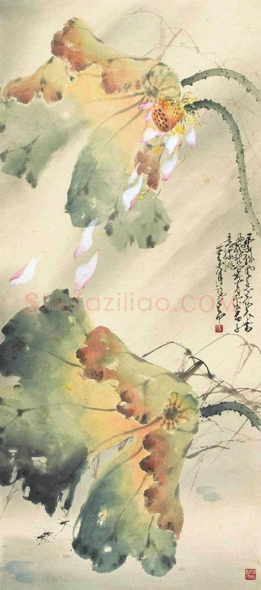 赵少昂的夏日荷塘，美！ | 书画资料