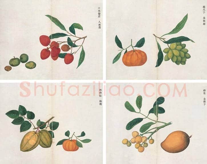 清代“四洋画家”的传奇 | 书画学堂
