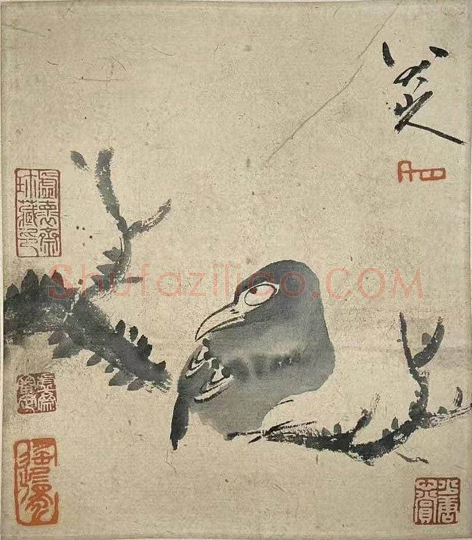 笔简意浓——八大山人极品《花鸟册》 | 国画赏析