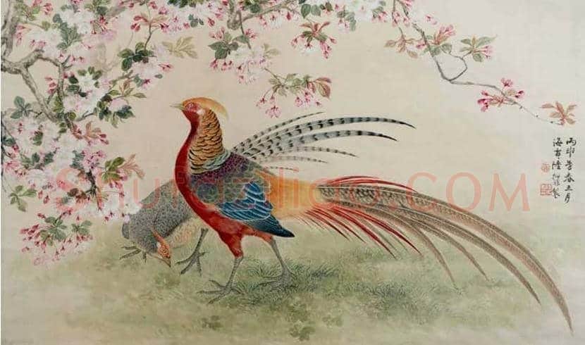 陆抑非人物简介 | 书画学堂