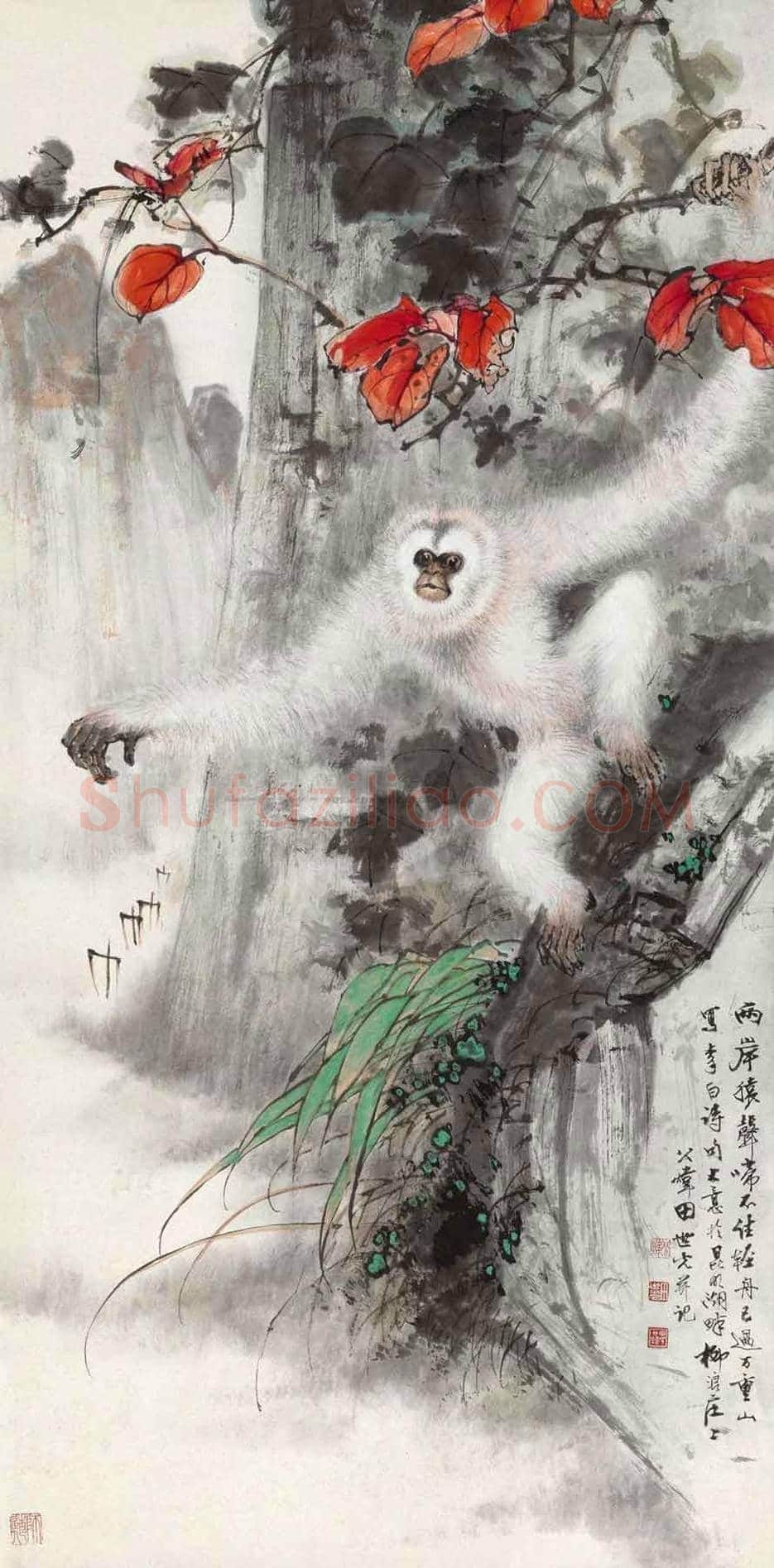 田世光猿猴作品精选 | 书画文摘