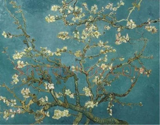 《杏花》：梵高家族唯一不肯出售的画作 | 书画知识