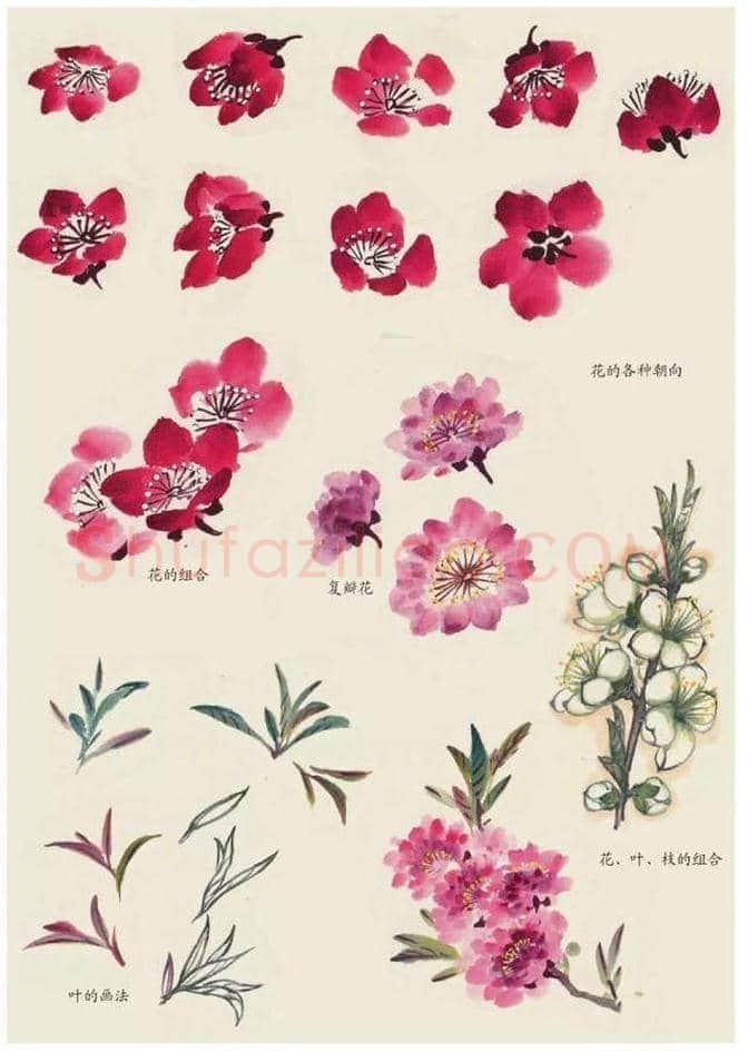 水墨花卉绘画的步骤教程！ | 书画科普