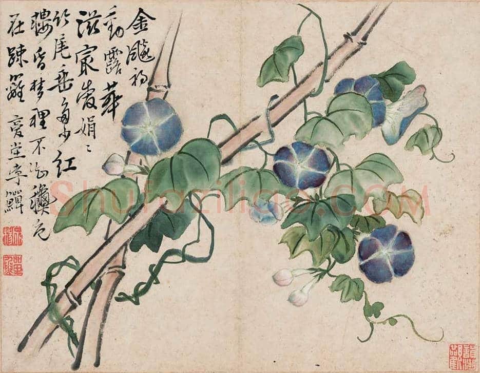 李鱓花鸟册页欣赏 | 书画讲解